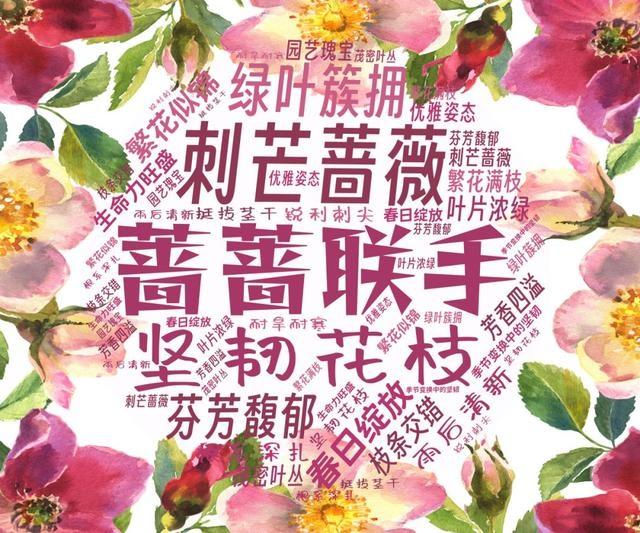 天山学子自制词云海报，社团风采炫酷展现，你绝对没见过  第19张