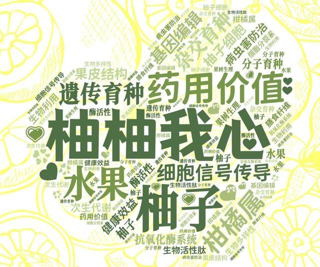 天山学子自制词云海报，社团风采炫酷展现，你绝对没见过  第5张