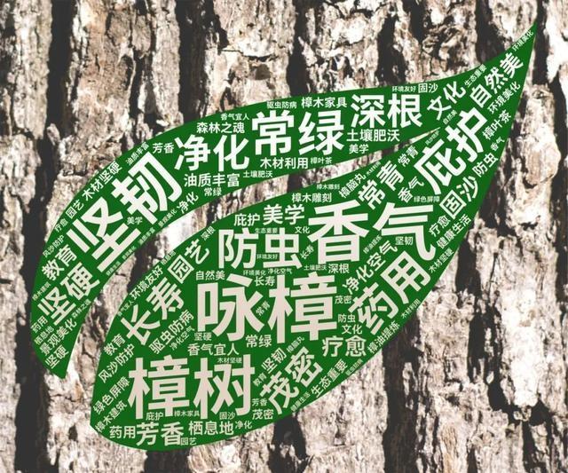 天山学子自制词云海报，社团风采炫酷展现，你绝对没见过  第8张