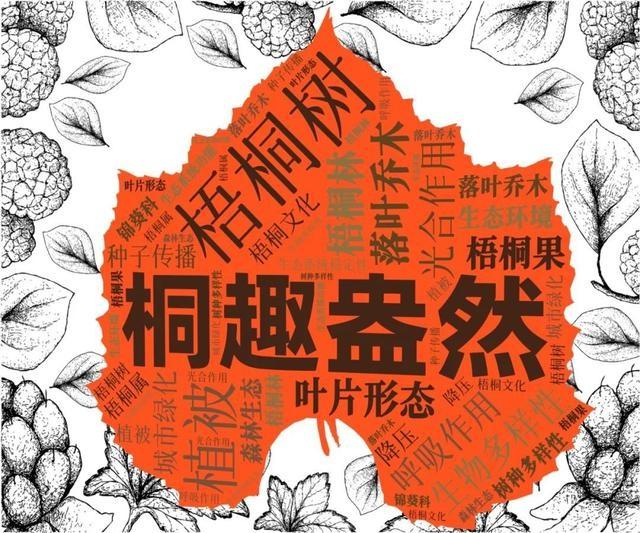 天山学子自制词云海报，社团风采炫酷展现，你绝对没见过  第9张