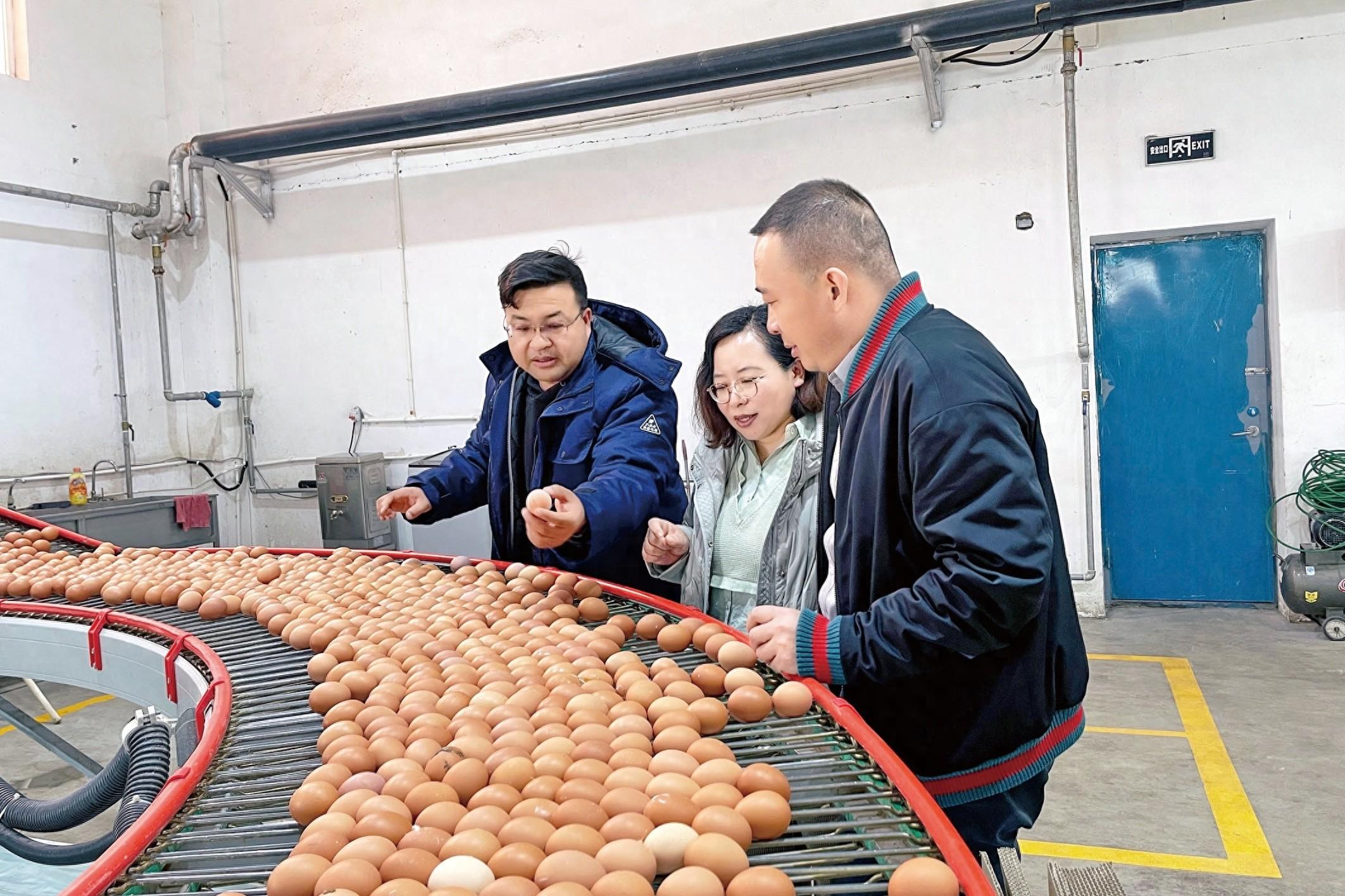 政策支持小微企业融资，乌兰察布金融监管分局助力企业发展  第1张