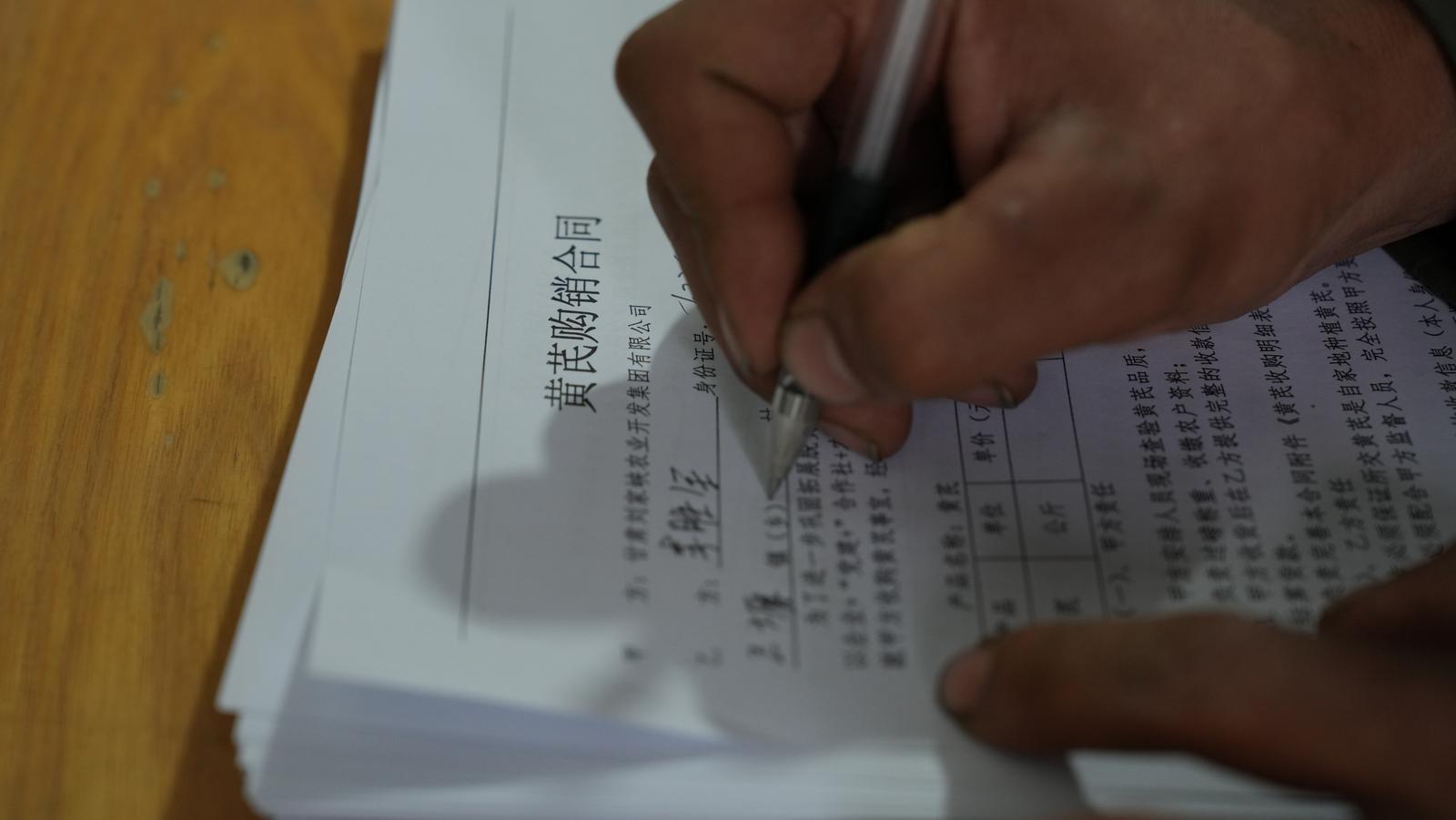 黄芪收购正当时！甘肃刘家峡农发集团忙加工，品质有保障  第4张