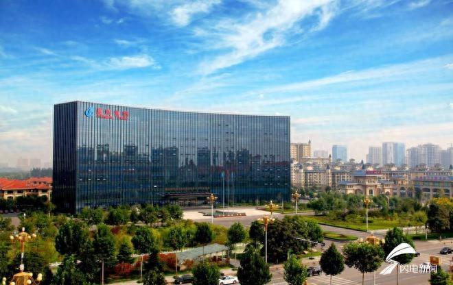 年浆纸产能近 500 万吨的晨鸣集团，竟然还有这些秘密