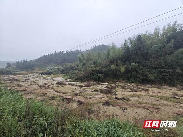 台风格美肆虐，200 亩农田被毁！看工作队如何妙手回春  第3张
