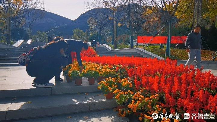 佛慧山景区鲜花撤展，市民可免费带回家！你还在等什么？  第3张