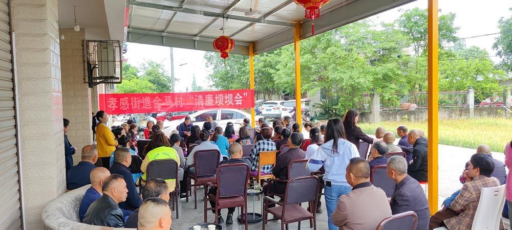 点亮村庄路灯，照亮乡村振兴路  第2张