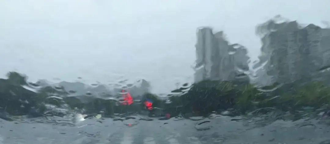 气温骤降！杭州今起阳光露面，秋高气爽正式登场  第5张