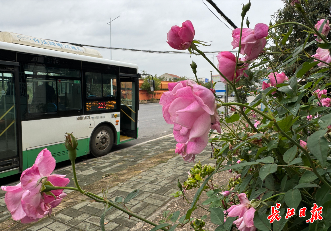 武汉公交 223 路驾驶员付汉平：用耐心和热情服务村民  第2张