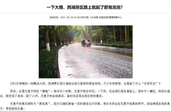 神奇！富阳街头惊现肥皂果，碾压后竟产生白色泡泡  第5张