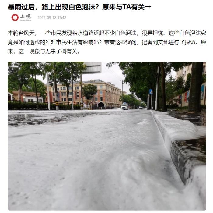 神奇！富阳街头惊现肥皂果，碾压后竟产生白色泡泡  第6张