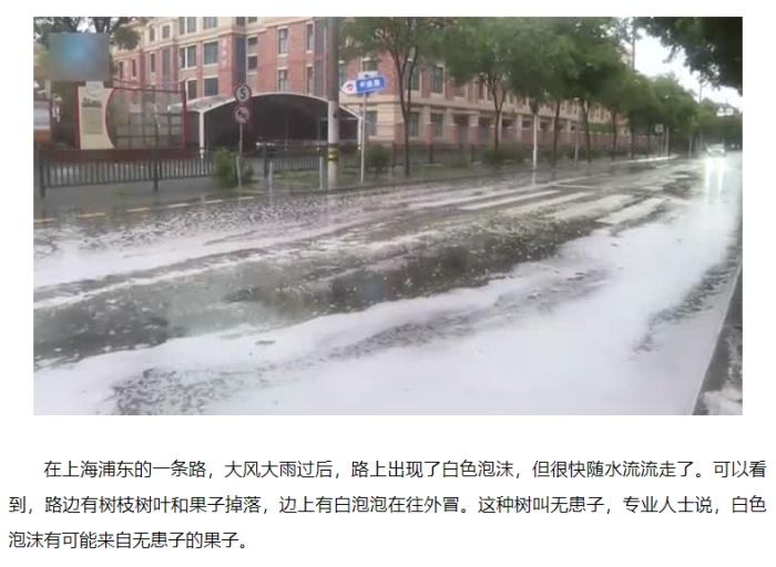 神奇！富阳街头惊现肥皂果，碾压后竟产生白色泡泡  第7张
