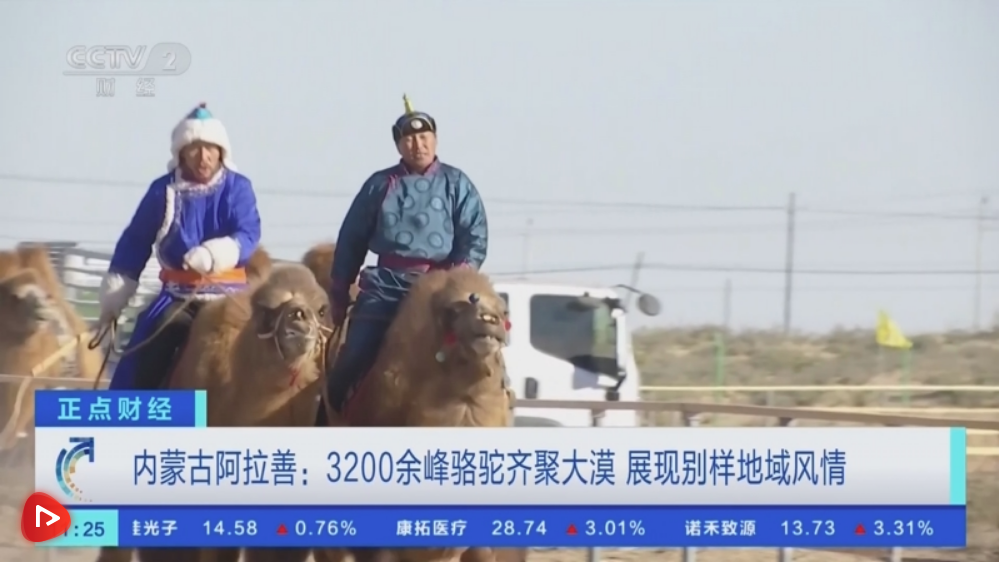 岗什卡雪峰景区迎旅游热，游客量突破 30 万  第5张