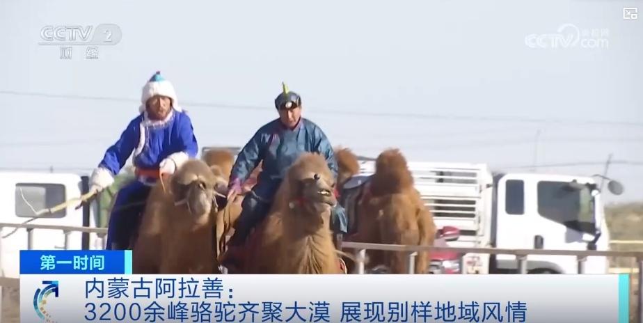 岗什卡雪峰景区迎旅游热，游客量突破 30 万  第6张