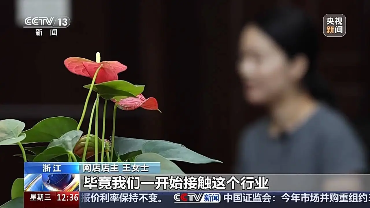 8 元 100 个评论，网络推广背后的秘密你知道吗？