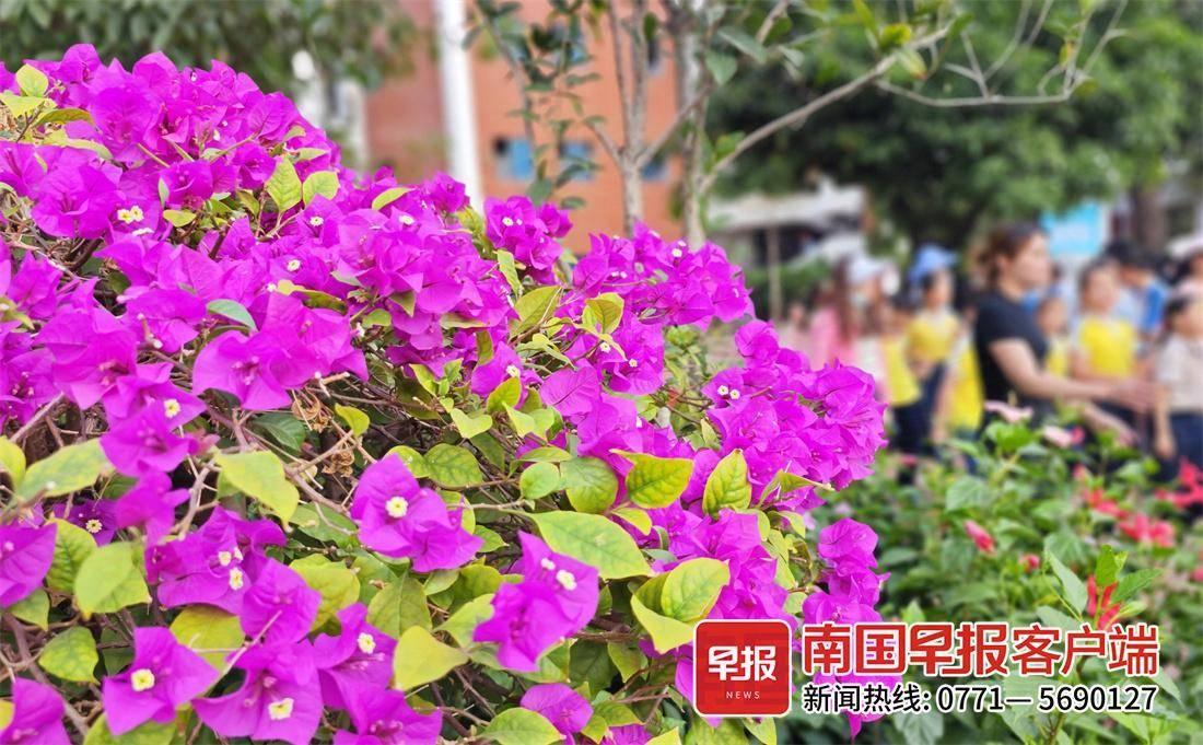 南宁入秋时间偏晚？气象局专家这样解释  第3张