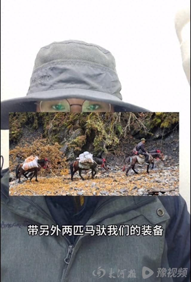 65 岁马夫猥亵女驴友，警方已介入，事件真相究竟如何？