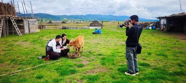 丽香铁路开通一周年，150 万游客涌入，香格里拉触手可及  第2张
