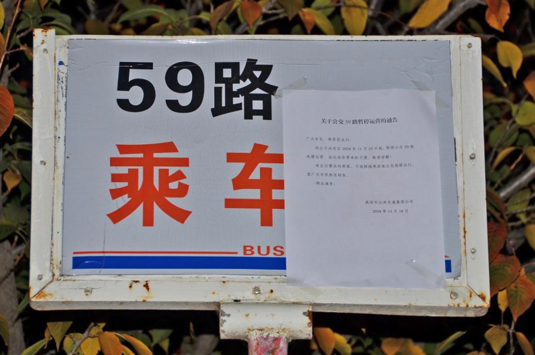 承载几代人回忆的 59 路公交车即将停运，你坐过吗？  第4张