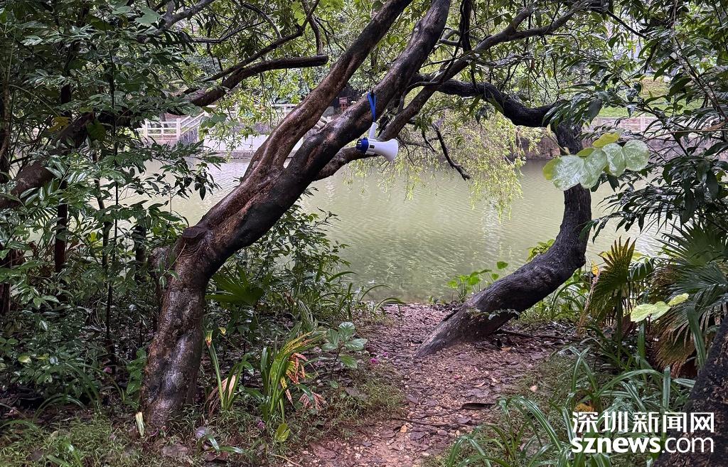 深圳东湖公园乱象频出，如今终于得到整治  第5张