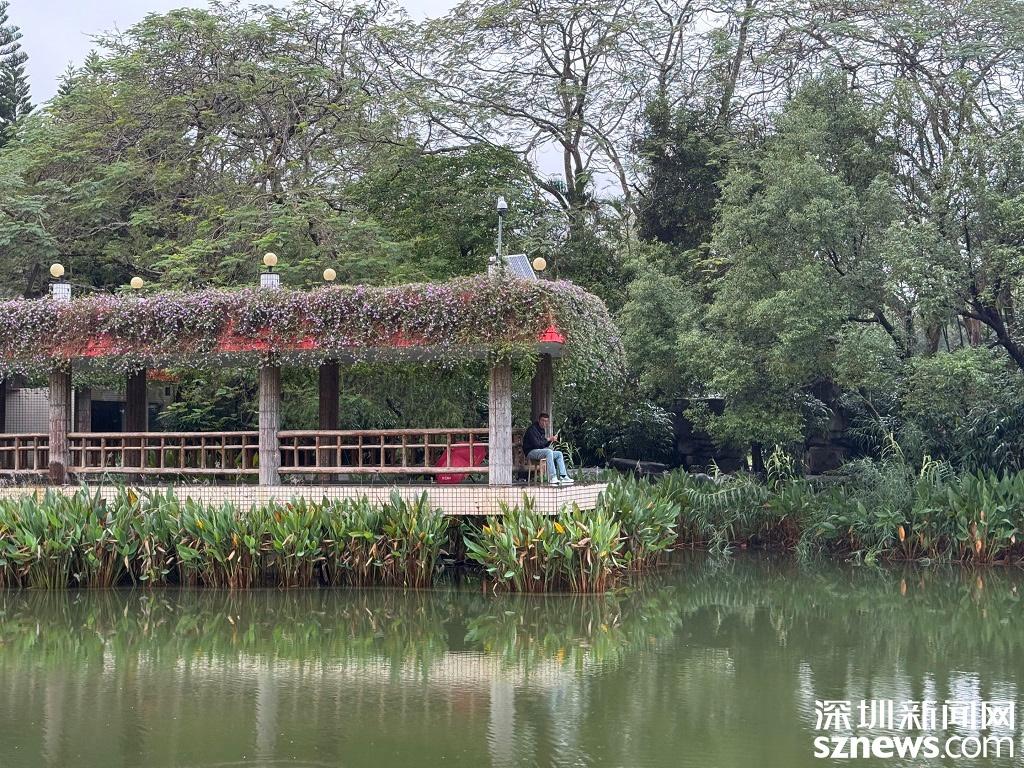 深圳东湖公园乱象频出，如今终于得到整治  第6张
