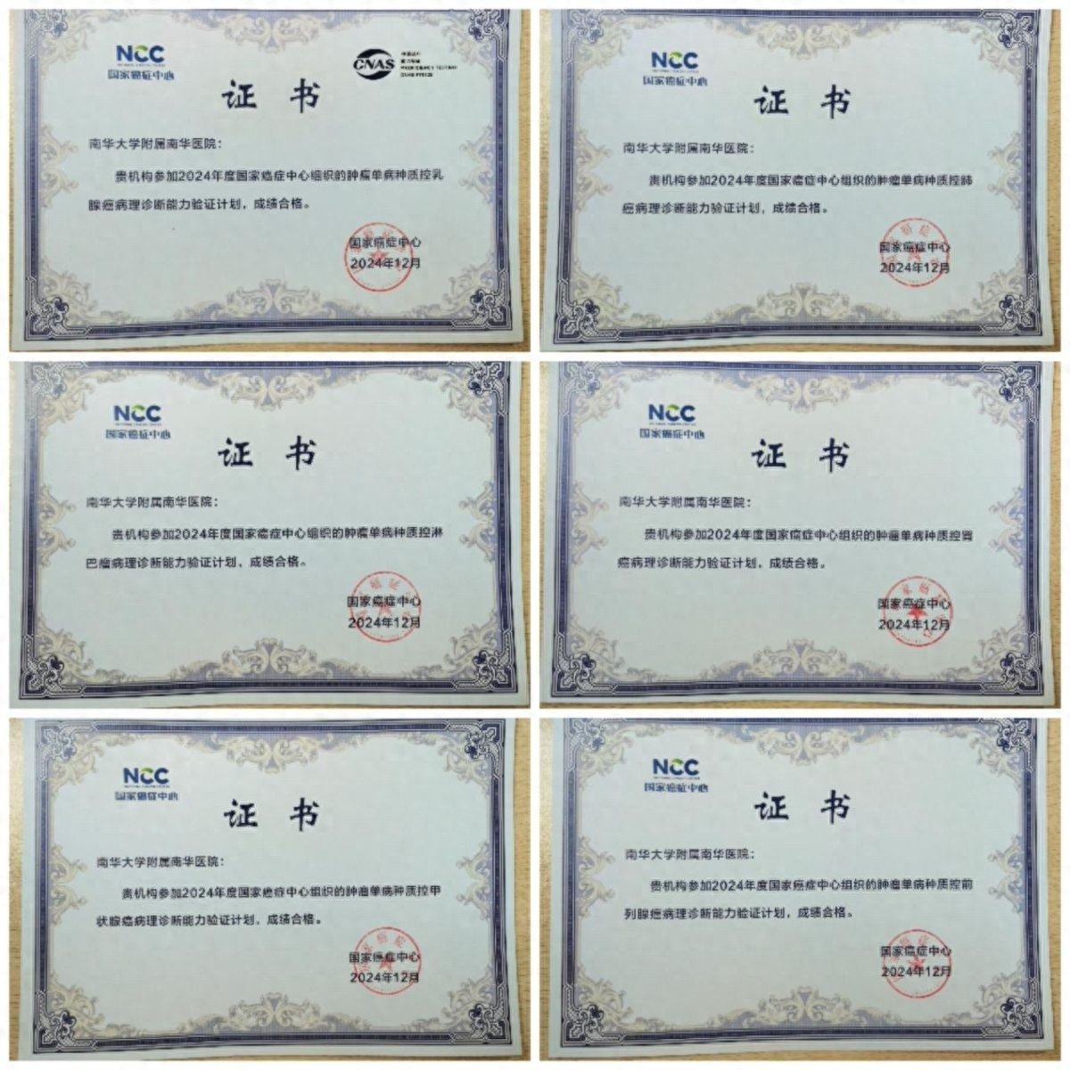 南华医院病理科在肿瘤诊断中大放异彩，六大项目考核成绩亮眼