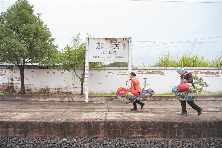 16年挑菜路，她如何在5639次列车上编织生活与希望？  第2张