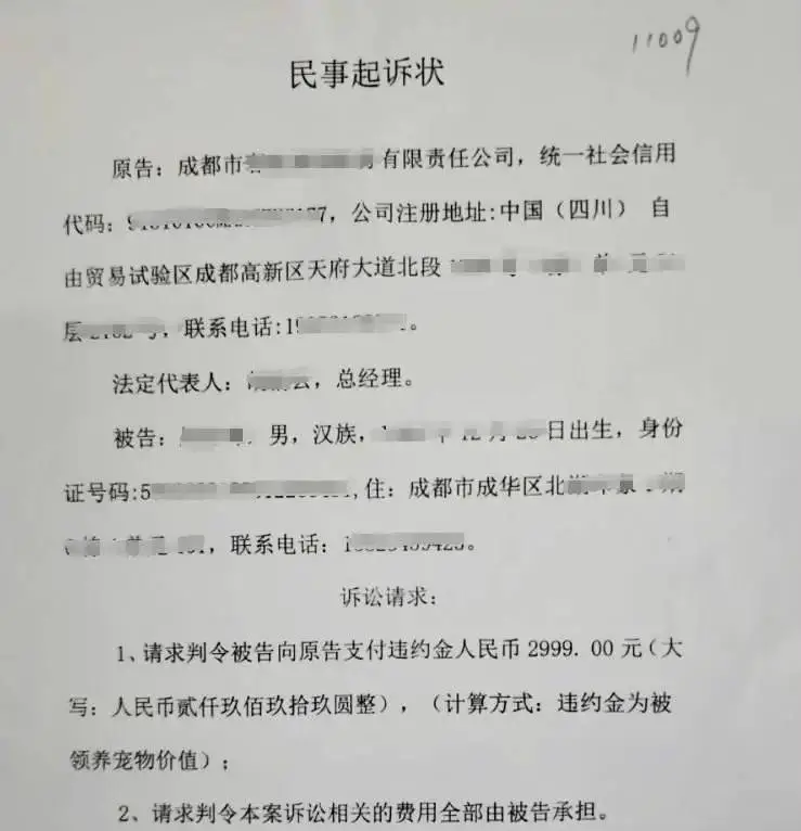 免费领养猫咪背后暗藏猫贷陷阱，爱心变负担，你中招了吗？  第4张