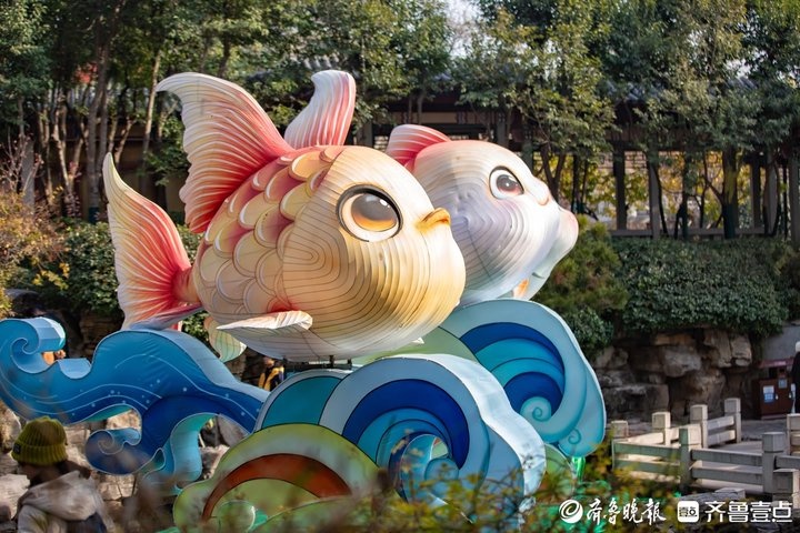 趵突泉惊现‘飞’鱼奇观！锦鲤花灯惊艳亮相，传统工艺再现神奇  第3张