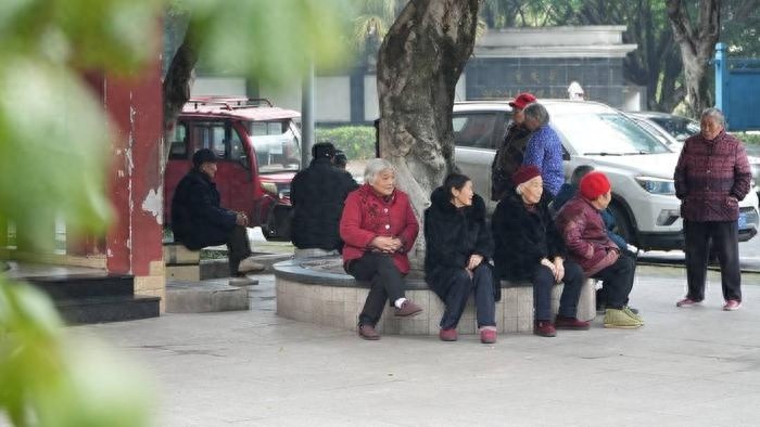 家门口的惊喜！重庆铜梁区莲花路游园大变身，居民幸福感爆棚  第1张
