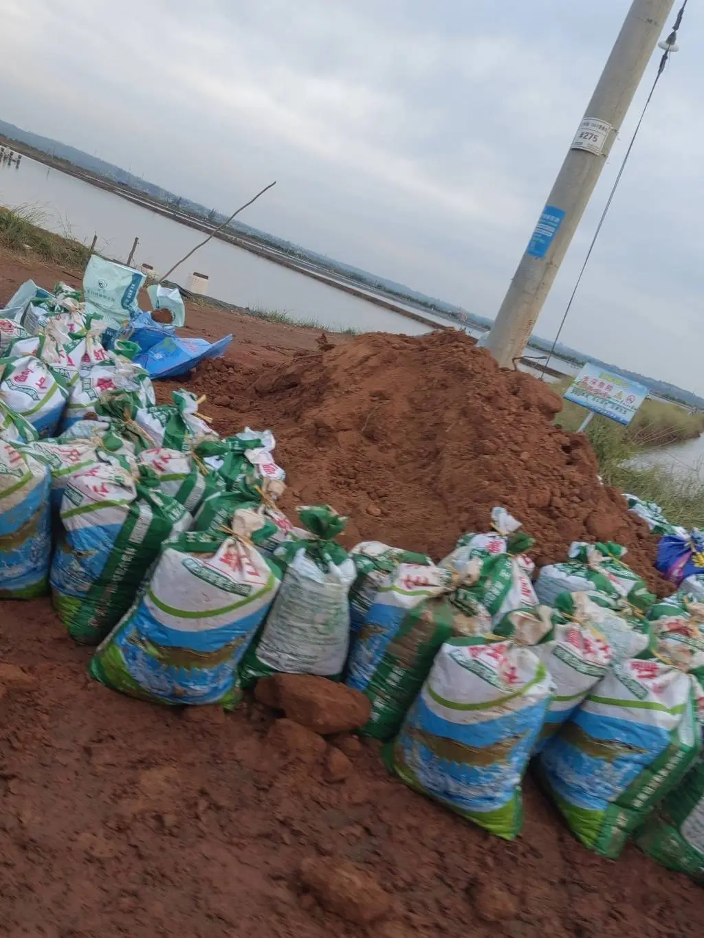 惊！湛江养殖户首次遭遇罕见风暴潮，海水冲破堤坝，养殖塘损失惨重