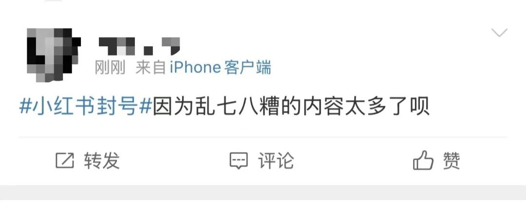 小红书惊现大规模封号潮，用户一夜之间账号消失，真相究竟为何？  第3张