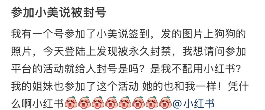 小红书惊现大规模封号潮，用户一夜之间账号消失，真相究竟为何？  第7张