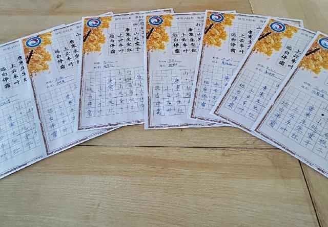 揭秘：小学生如何用一笔一画书写出汉字艺术的神奇世界？  第5张