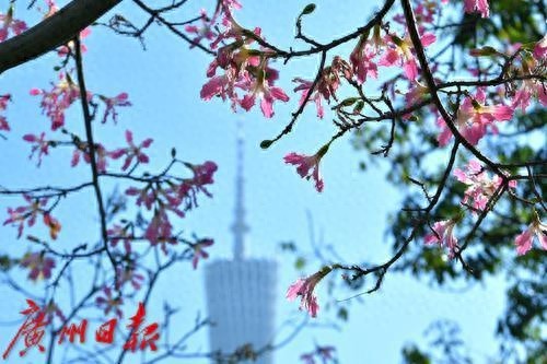冬至冷空气来袭！广东气温骤降，最低-0.7℃，你准备好了吗？  第1张