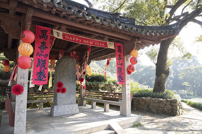 冬至将至，杭州梅家坞村晒冬盛会揭秘：传统打年糕技艺惊艳全场  第9张