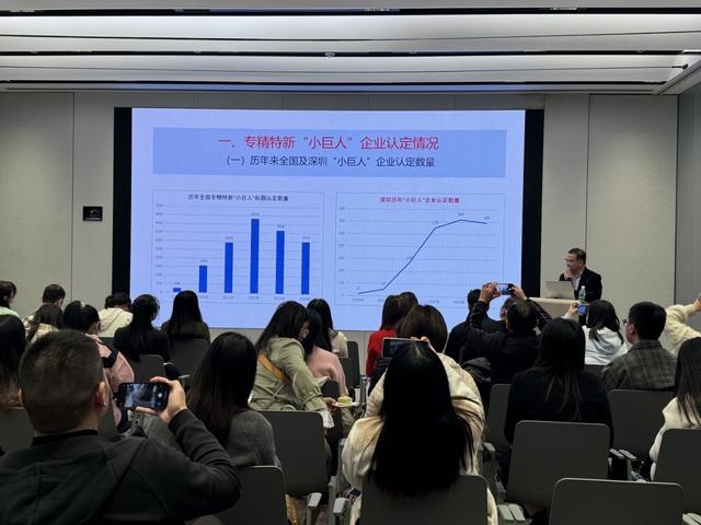 宝安区第七批专精特新小巨人申报培训会圆满举行，超百家企业抢先布局2025年申报  第2张