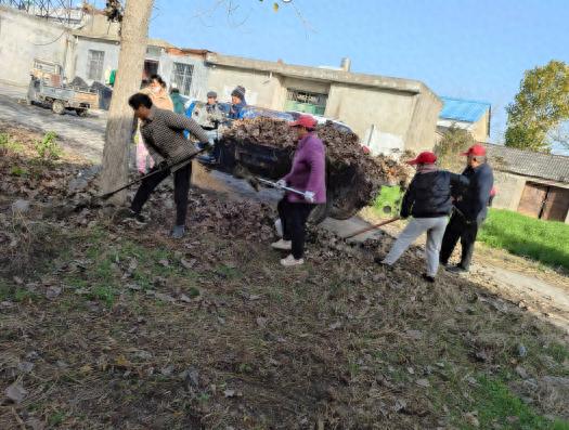 濉溪县南坪镇：644个乡村公益岗位，每月补贴最高800元，助力乡村振兴