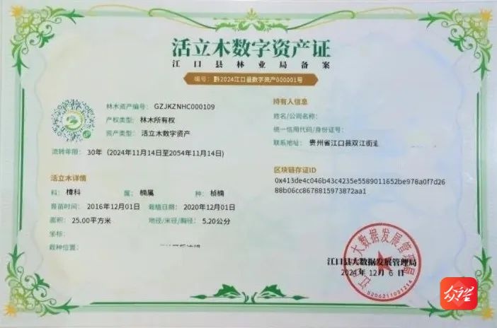 贵州首张活立木数字资产证诞生！数字化转型再添新突破  第2张