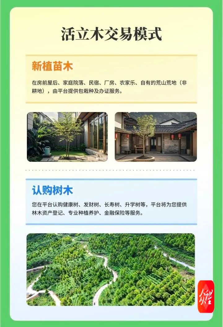 贵州首张活立木数字资产证诞生！数字化转型再添新突破  第4张