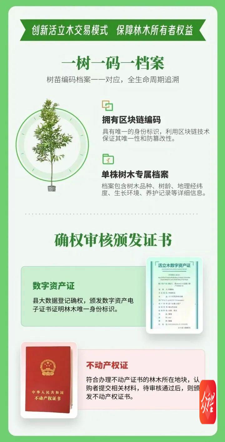 贵州首张活立木数字资产证诞生！数字化转型再添新突破  第5张