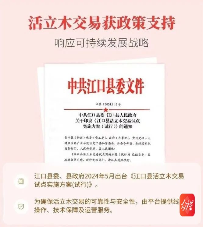 贵州首张活立木数字资产证诞生！数字化转型再添新突破  第6张