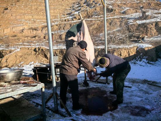 年关杀猪宴：农村年味浓，杀猪菜里藏着一年的辛勤与期盼  第2张