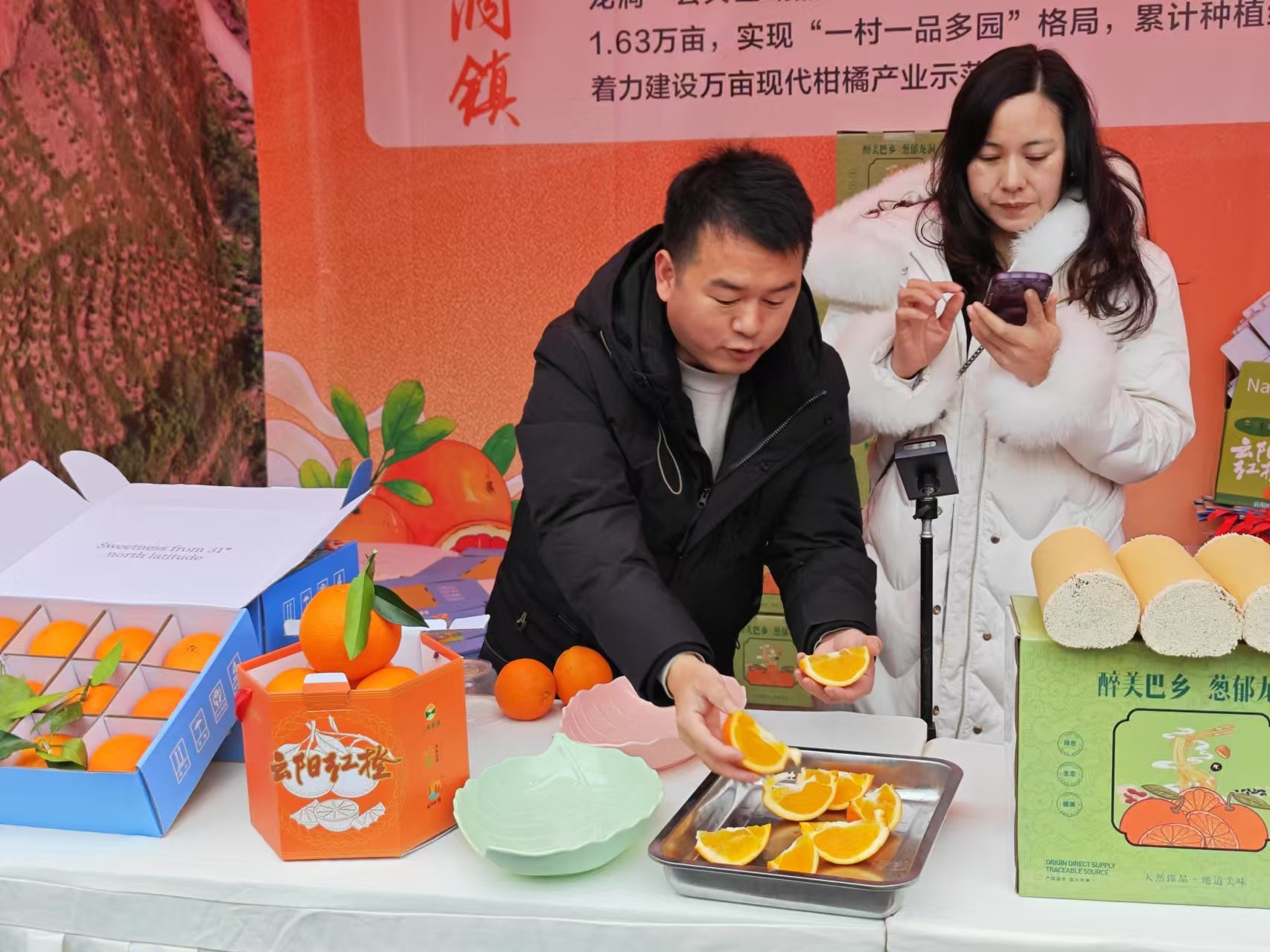 云阳红橙交易大会签约8600万，三峡库区腹心地带的黄金果实引爆市场  第4张