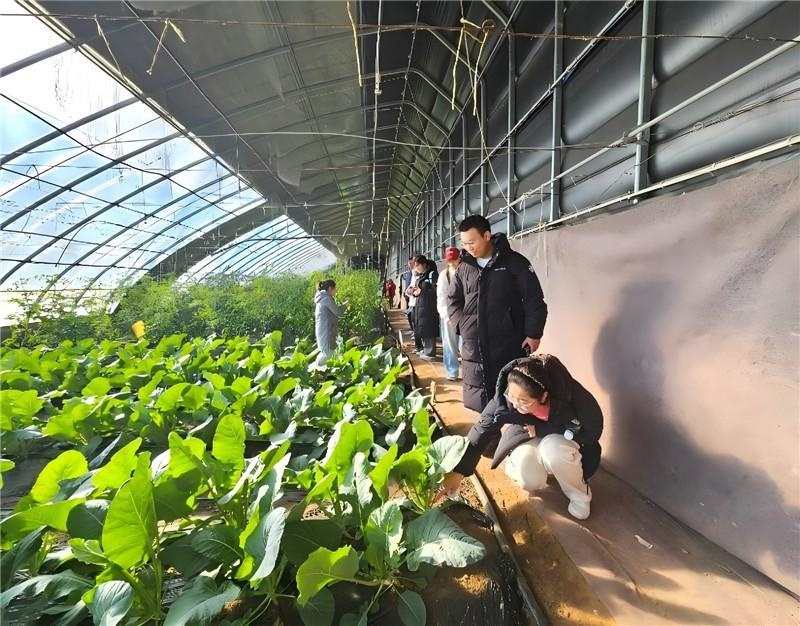 探秘科技小院：9名大学生如何用科技助力乡村经济腾飞？  第3张