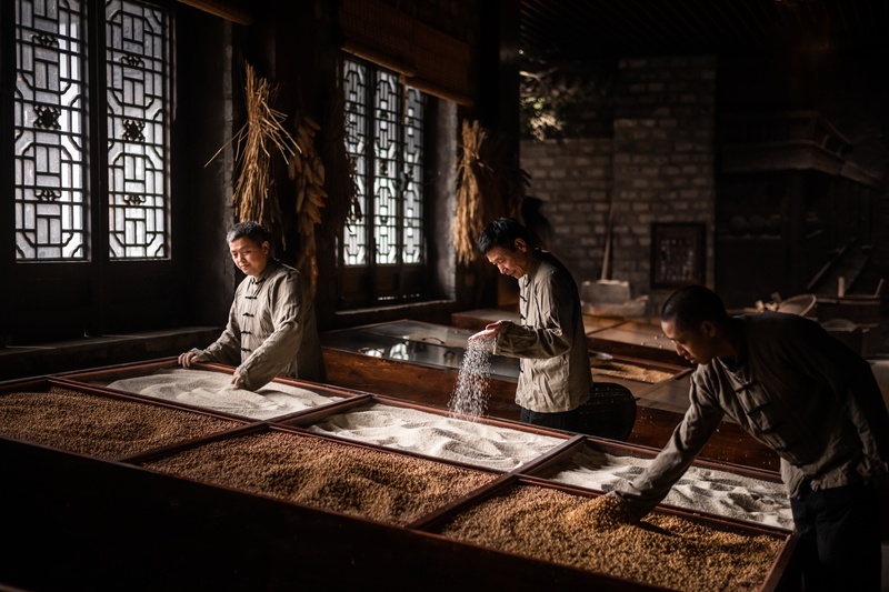 揭秘天府乡村优质农产品：如何带动百万农户增收，你不可不知的致富密码  第2张