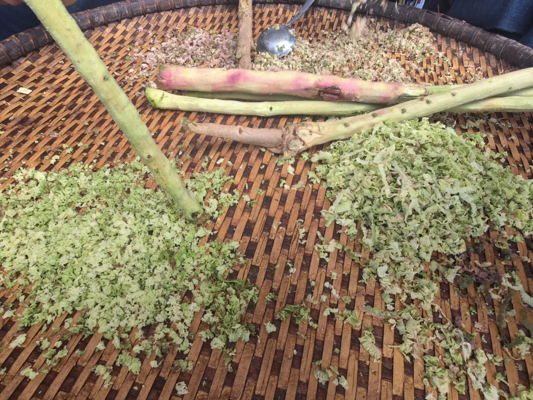 揭秘哈尼族传统美食：野生橄榄枝的惊艳之旅，你绝对想不到的美味  第3张