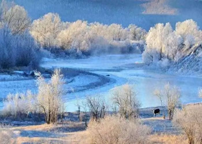 呼伦贝尔冰雪奇缘：北疆明珠再度绽放，邀你共赴冰雪盛宴  第1张