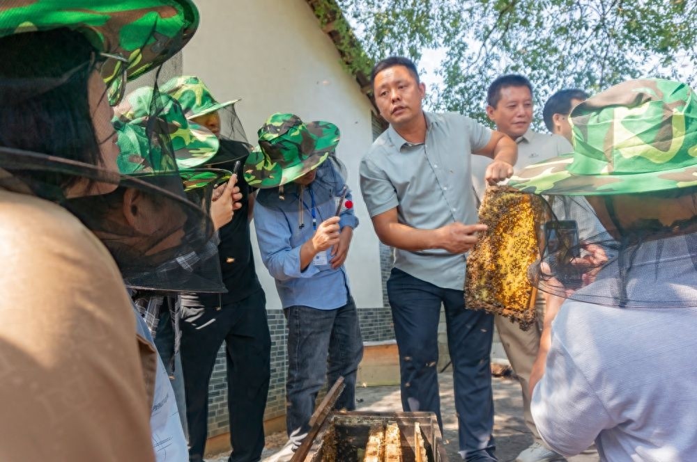 揭秘恭城瑶族自治县：如何在寒冷季节安全采集蜂蜜？专家现场教学，独家技巧曝光