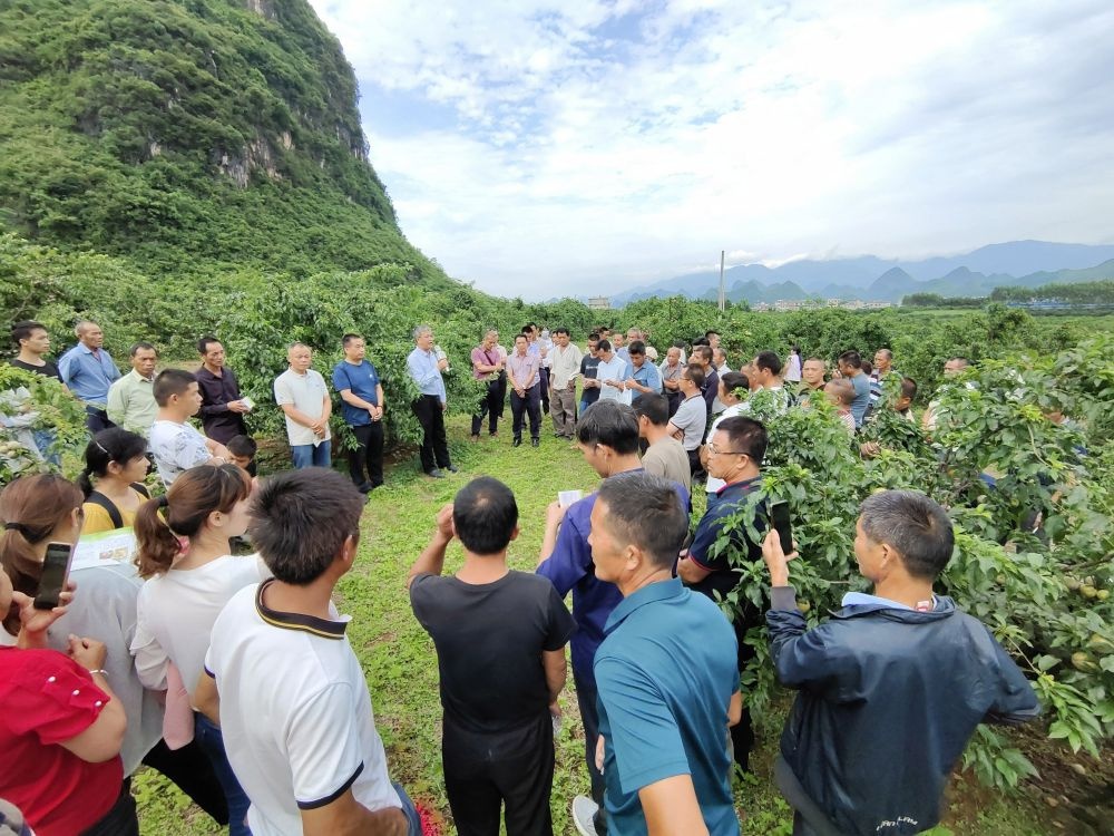 揭秘恭城瑶族自治县：如何在寒冷季节安全采集蜂蜜？专家现场教学，独家技巧曝光  第2张