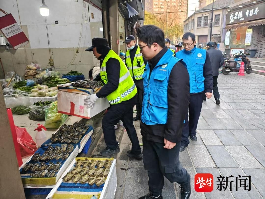 南京科巷占道经营大整治：城市治理新举措，市民生活更美好